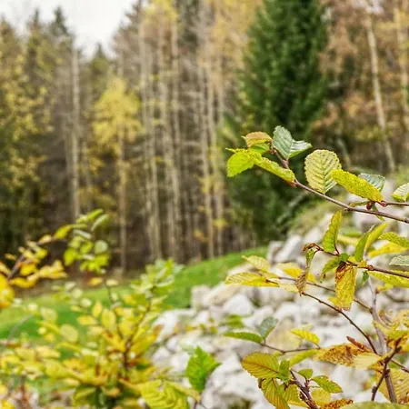 Ferienhaus Rezidence Gutwirtovi *
